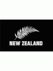 New Zealand Silver Fern Large Flag